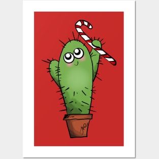 Christmas Cacti°3 Posters and Art